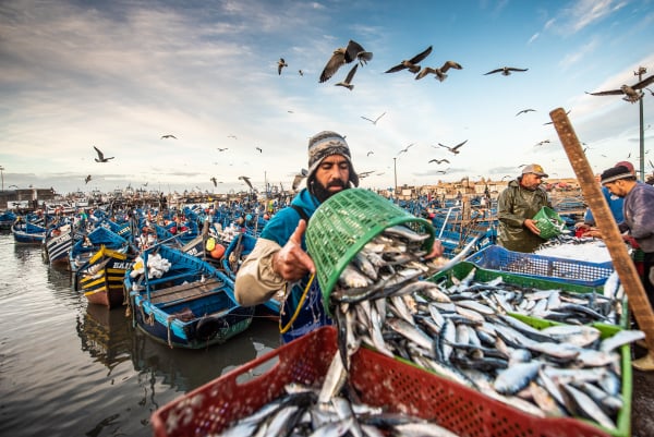 Marocco | Torino Magazine | Marco Carulli