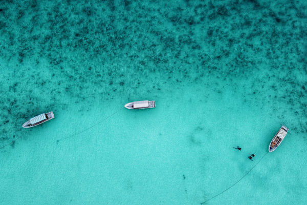 Zanzibar Marco Carulli