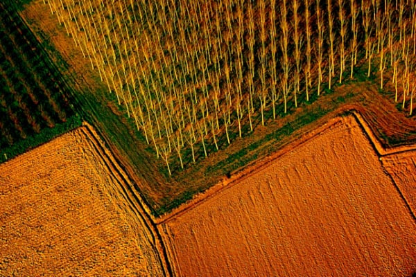 Disegnare la Terra | Nikon School
